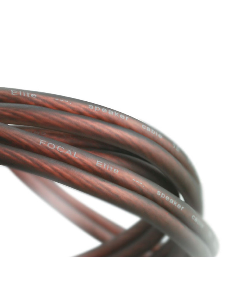 FOCAL Elite Speaker Cable