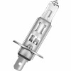 EXCELITE H1 12V 55W HALOGEN BULB P14.5s