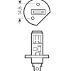 EXCELITE H1 12V 55W HALOGEN BULB P14.5s