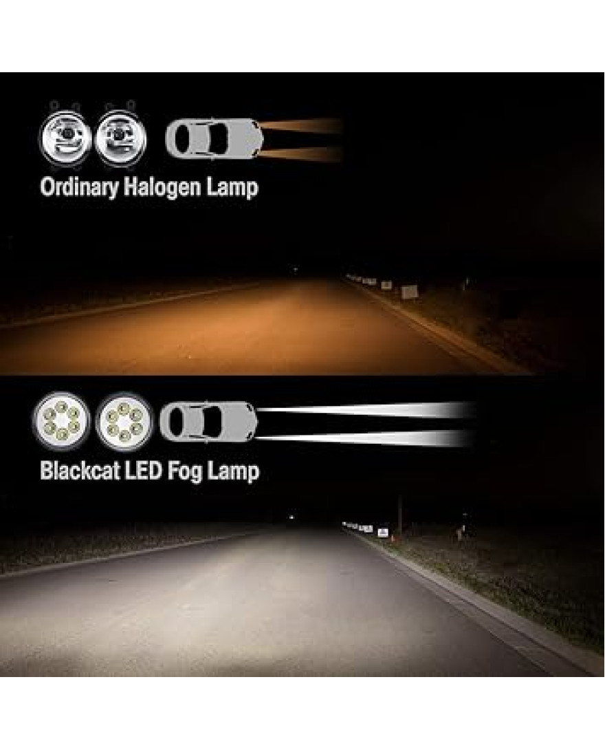 Blackcat Fog Lamp for Scorpio 2018 OEM Quality | Set of 2