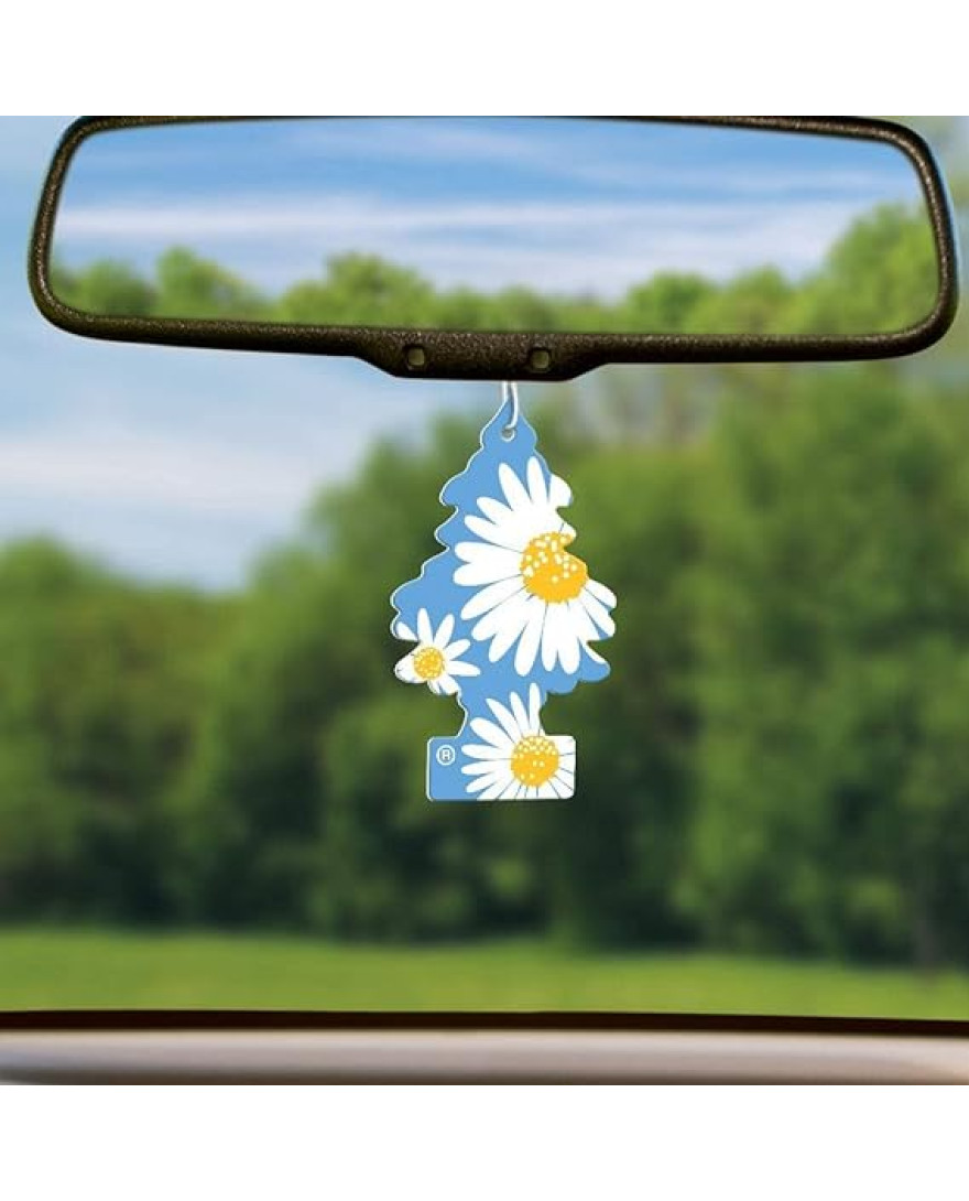 Little Trees Hanging Daisy Fields Car And Home Air Freshener | 10g