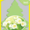 LITTLE TREES Hanging Jasmin Car Air Rreshener | 10g