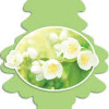 LITTLE TREES Hanging Jasmin Car Air Rreshener | 10g