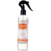 Areon Golden Sunset Home Malodor Control Spray 300ml | AR667