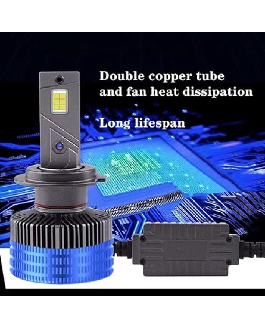 P8 H-19 LED KIT | 5500K